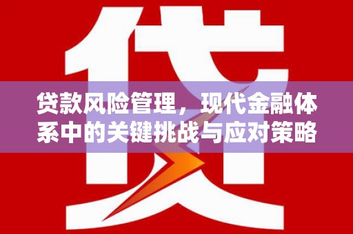 东山贷款风险管理，现代金融体系中的关键挑战与应对策略