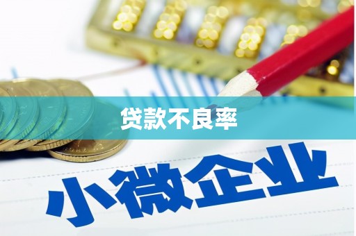 万秀贷款不良率