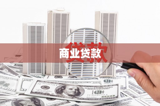 望奎商业贷款