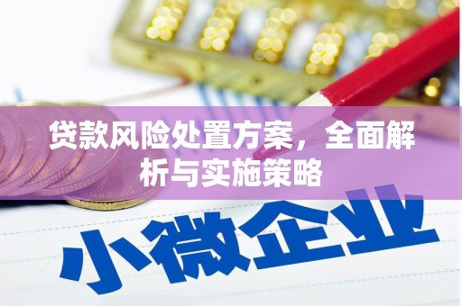 江阳贷款风险处置方案，全面解析与实施策略