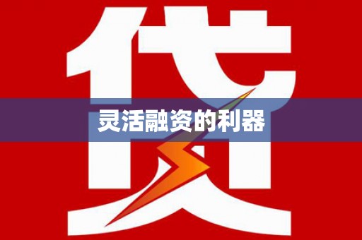 于洪灵活融资的利器