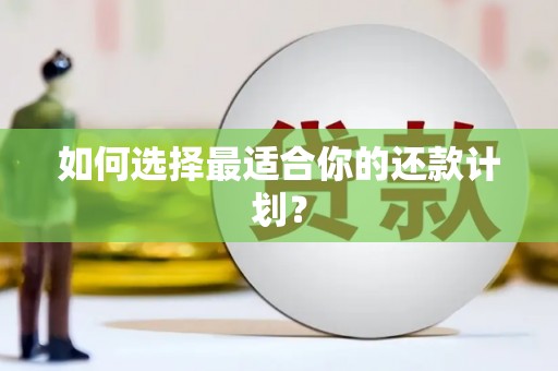 田林如何选择最适合你的还款计划？
