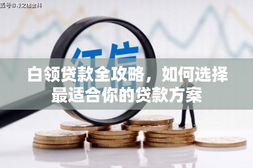 汉南白领贷款全攻略，如何选择最适合你的贷款方案