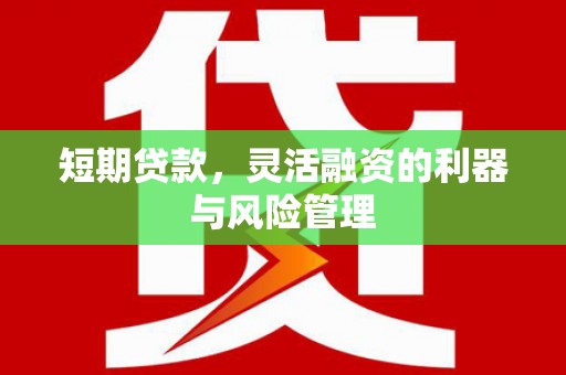 无极短期贷款，灵活融资的利器与风险管理