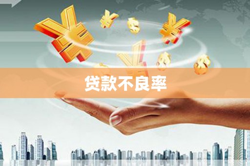 萨嘎贷款不良率